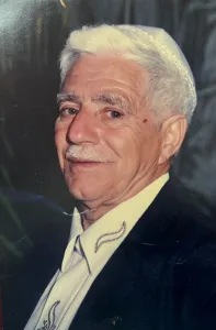 מאיר יהושע
